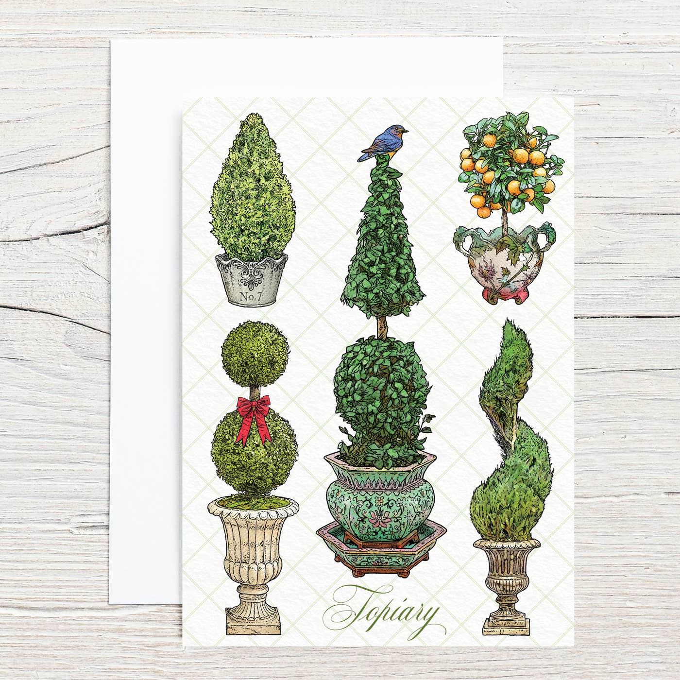 Illustration of various topiary plants in pots on a white background