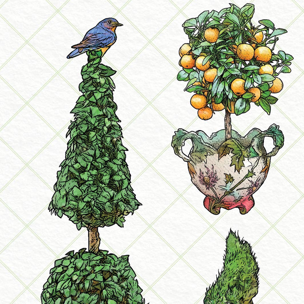 Illustration of a bird on a topiary, an urn with plants, and a tree with oranges on a grid background