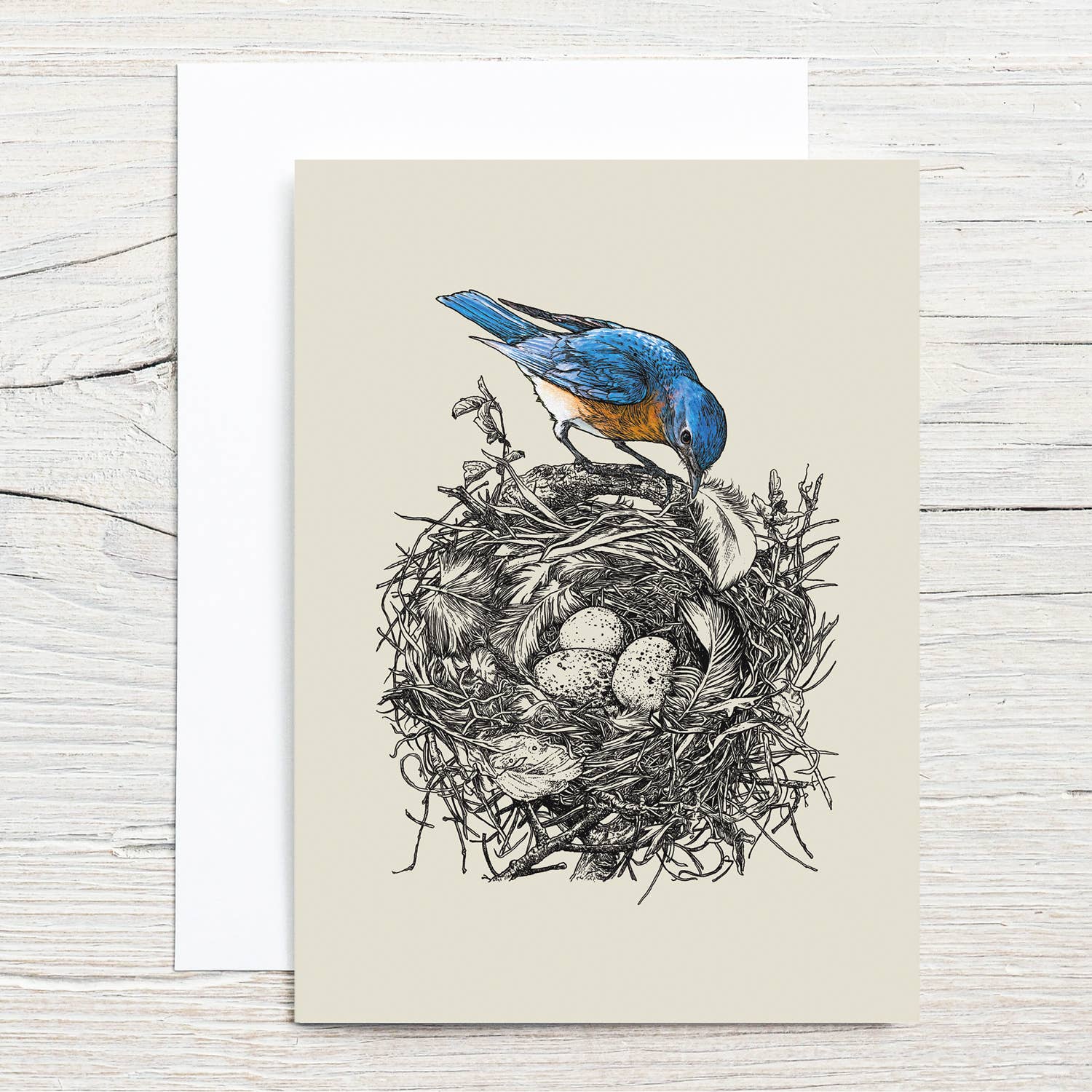 Illustration of a blue bird on a nest with eggs against a light background