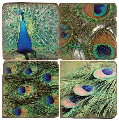 Set of four peacock feather coasters with detailed patterns.