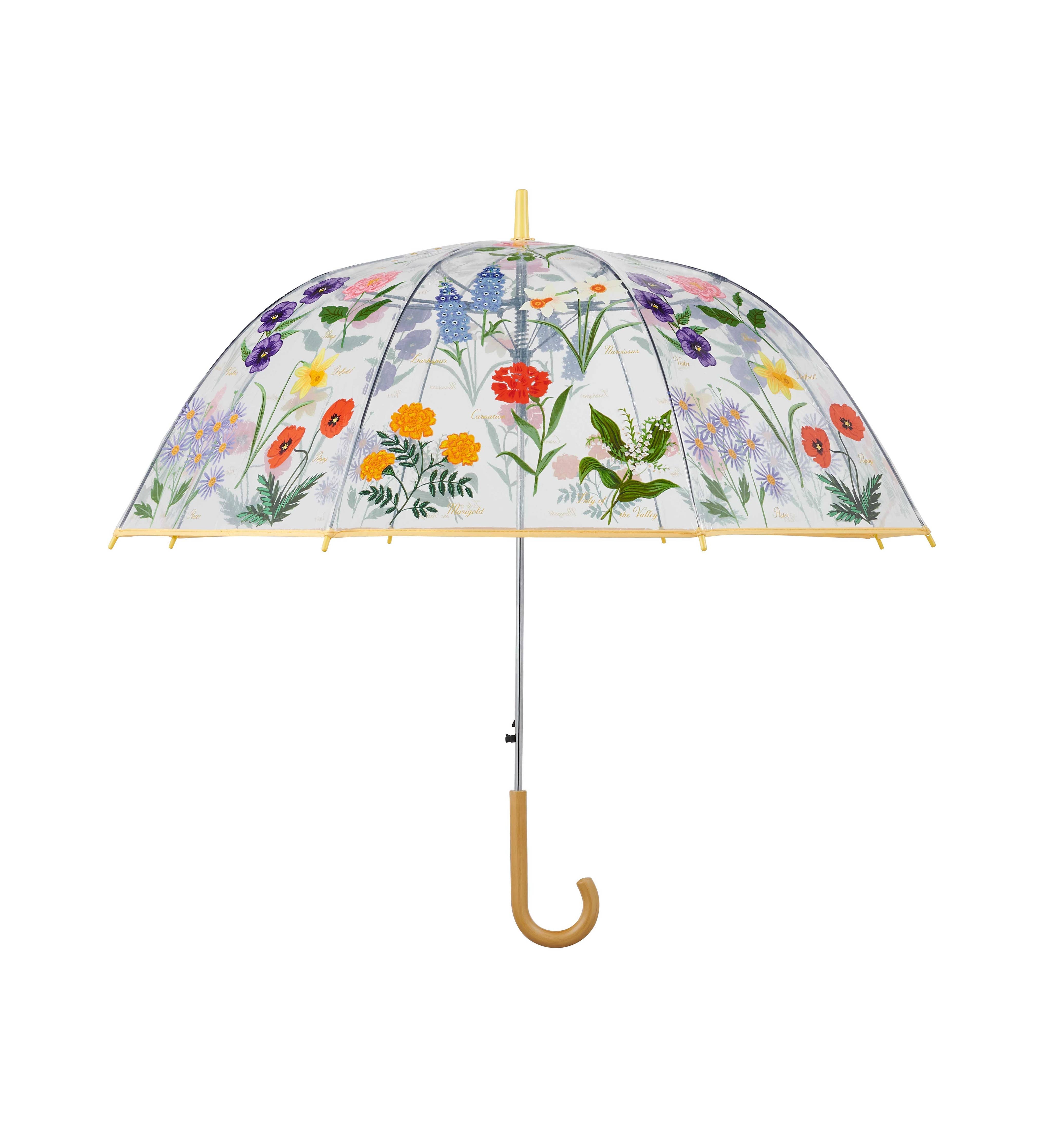 Transparent umbrella with floral design on a white background