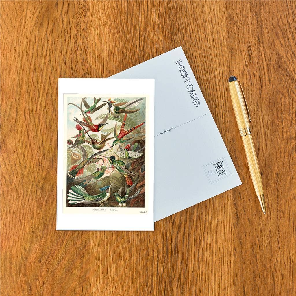 Postcard with bird illustration on a wooden surface with a pen