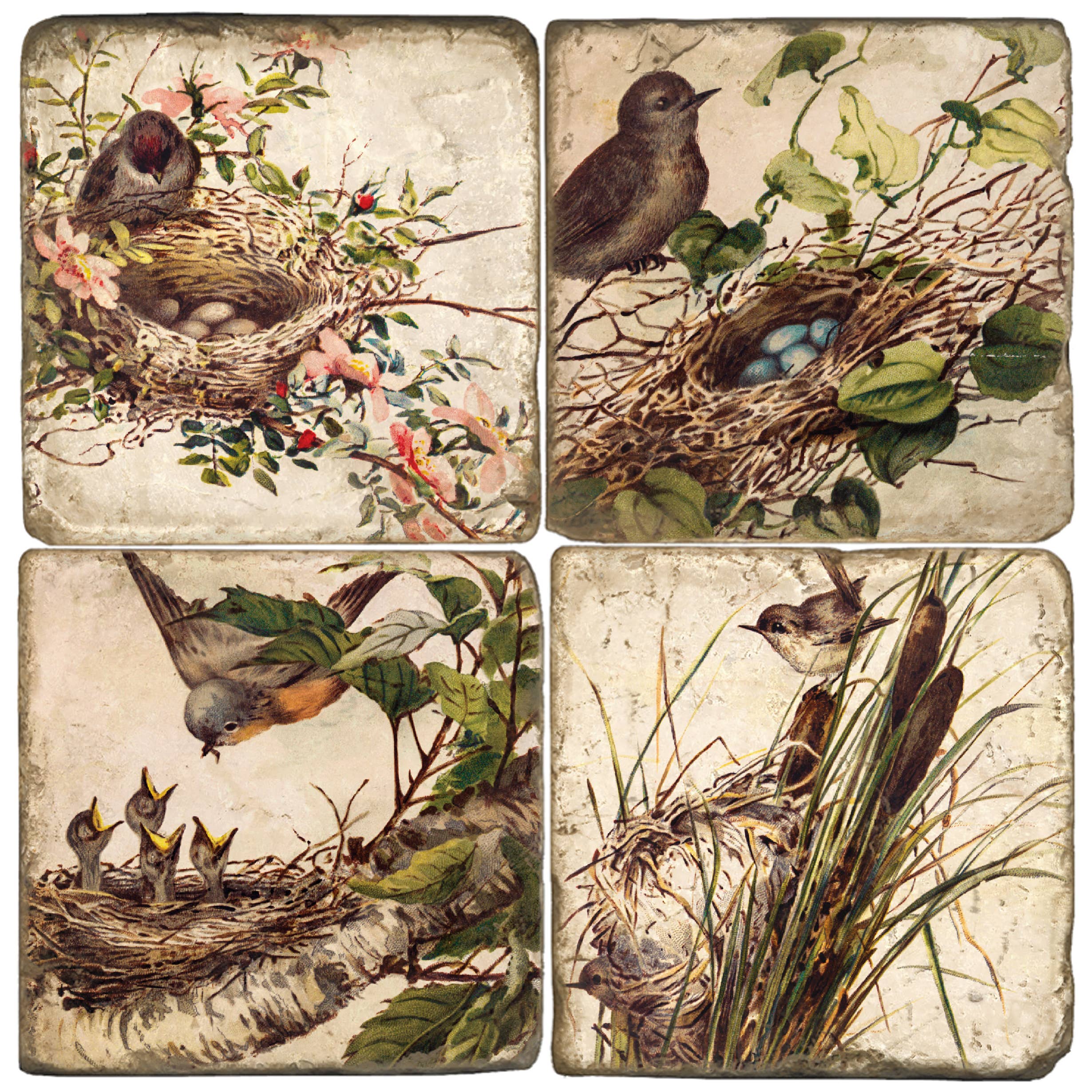 Set of four decorative tiles featuring birds and nests with a naturalistic design.