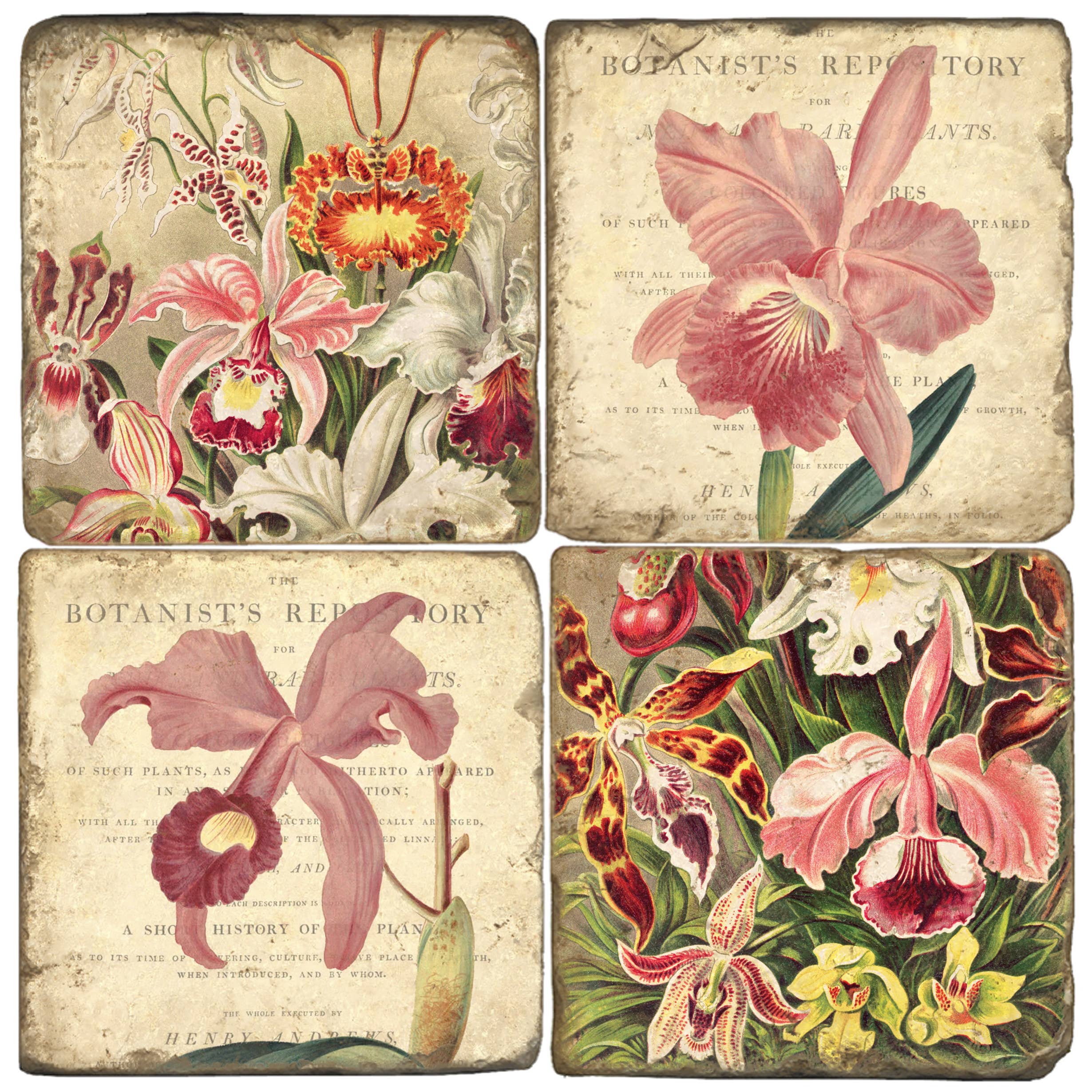 Set of four botanical-themed coasters with vintage-style illustrations of flowers.