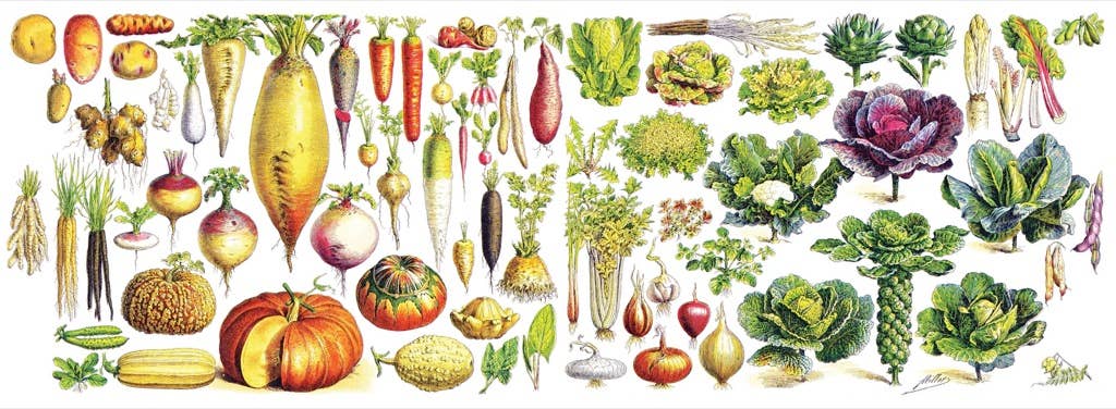Illustration of various vegetables arranged in a decorative pattern.