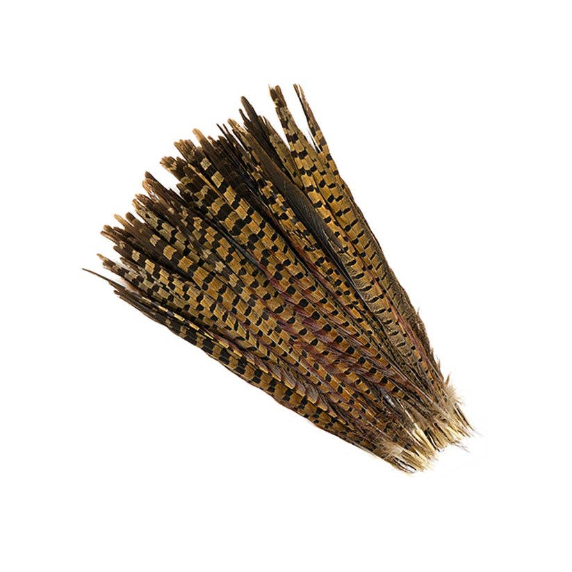 Brown and gold feathers on a white background