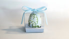 Clear gift box with a blue ribbon containing a small plant on a light gray background