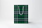 Green plaid paper bag with a white handle on a white background