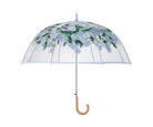 Transparent umbrella with floral design on a white background