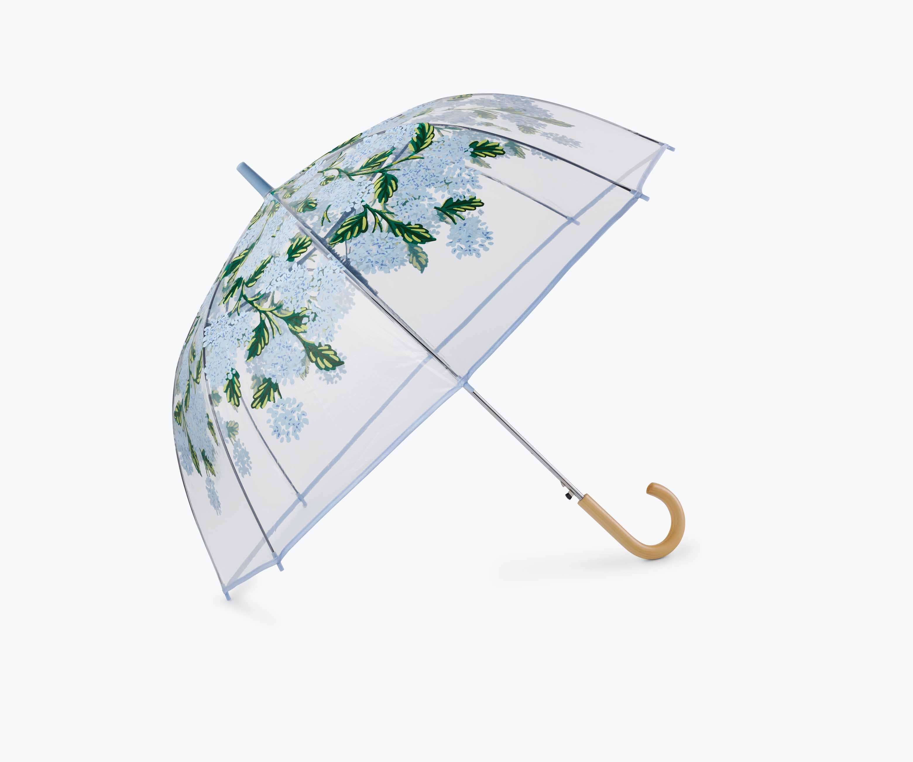 Clear umbrella with floral design on a white background