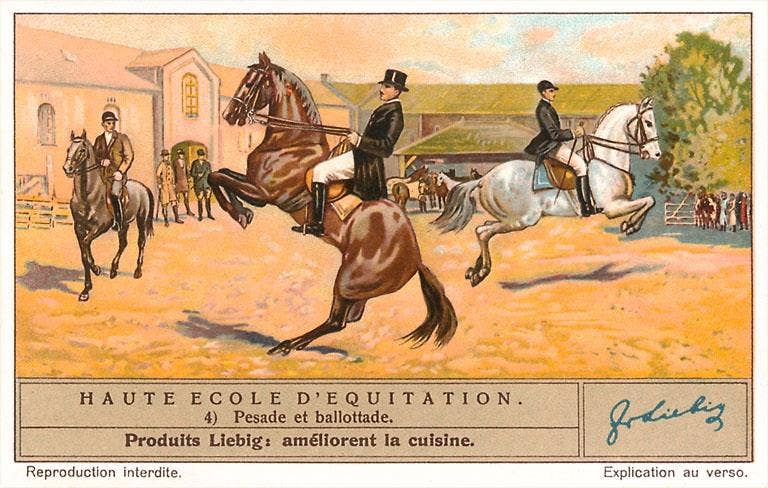Vintage illustration of equestrian scene with riders on horses, featuring a brown horse being ridden by a rider in a black coat.
