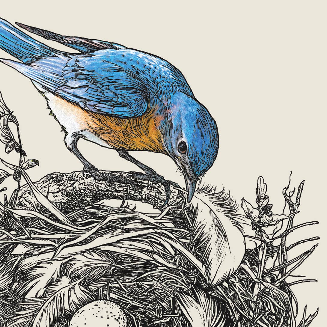 Illustration of a blue bird tending to a nest with eggs.