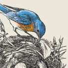 Illustration of a blue bird tending to a nest with eggs.