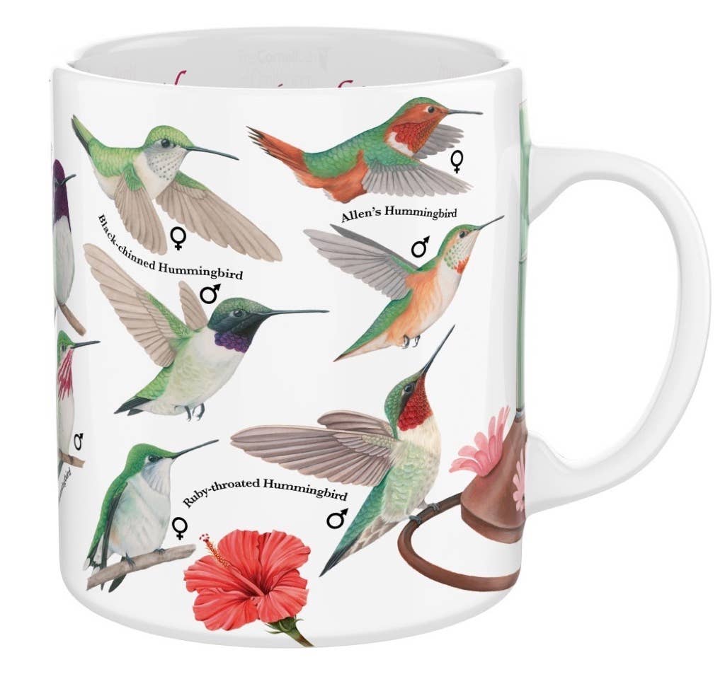 Mug with illustrations of hummingbirds and flowers on a white background