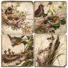 Set of four decorative tiles featuring birds and nests with a naturalistic design.