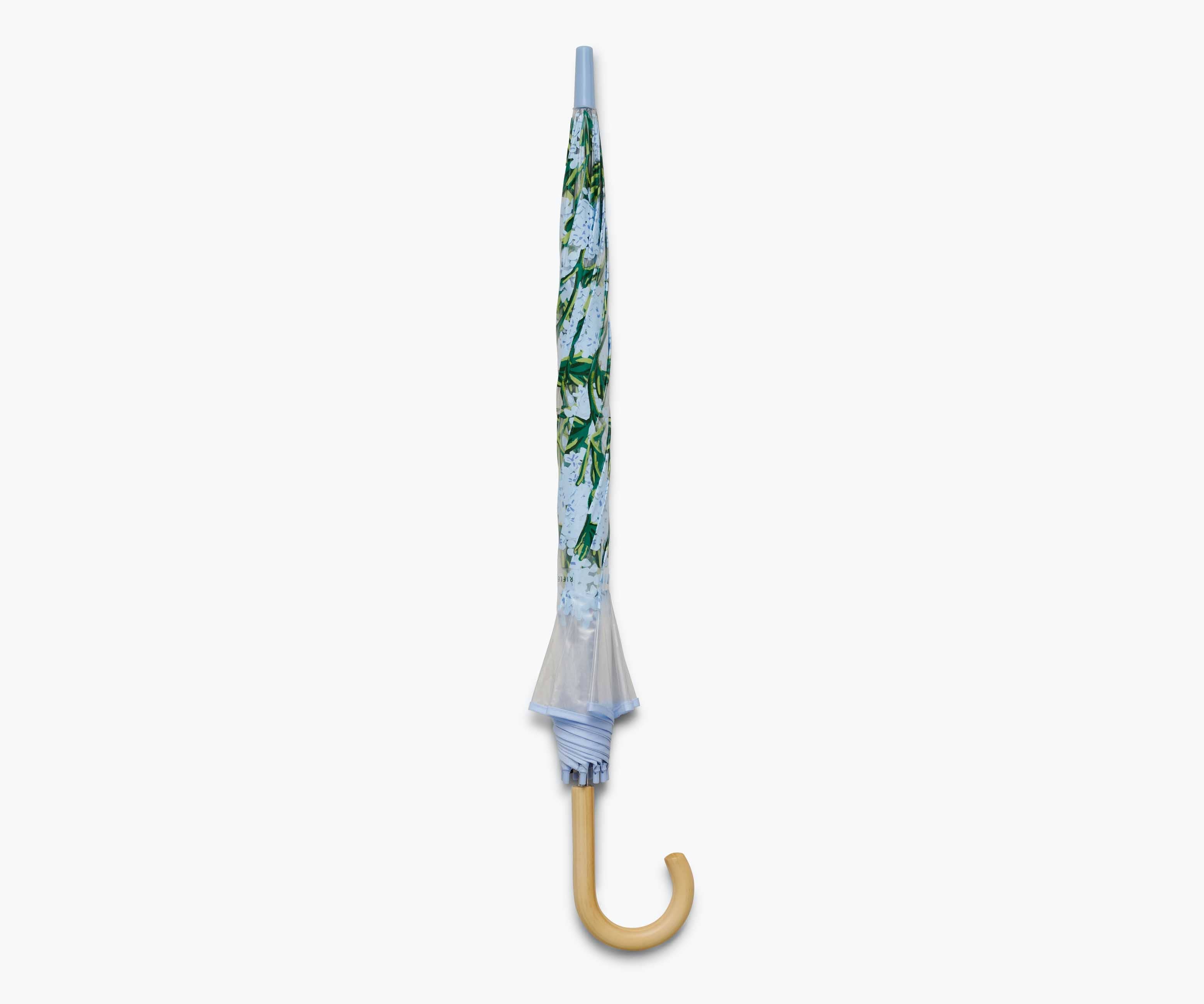 White umbrella with floral pattern on a white background